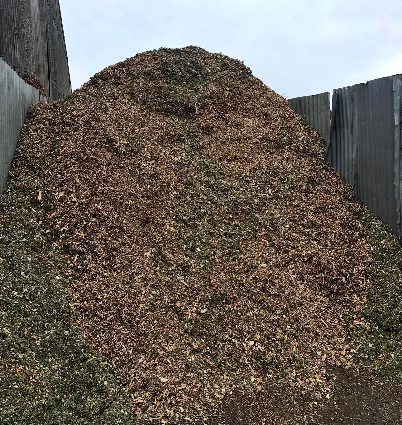 Woodland mulch from recycled tree surgery waste